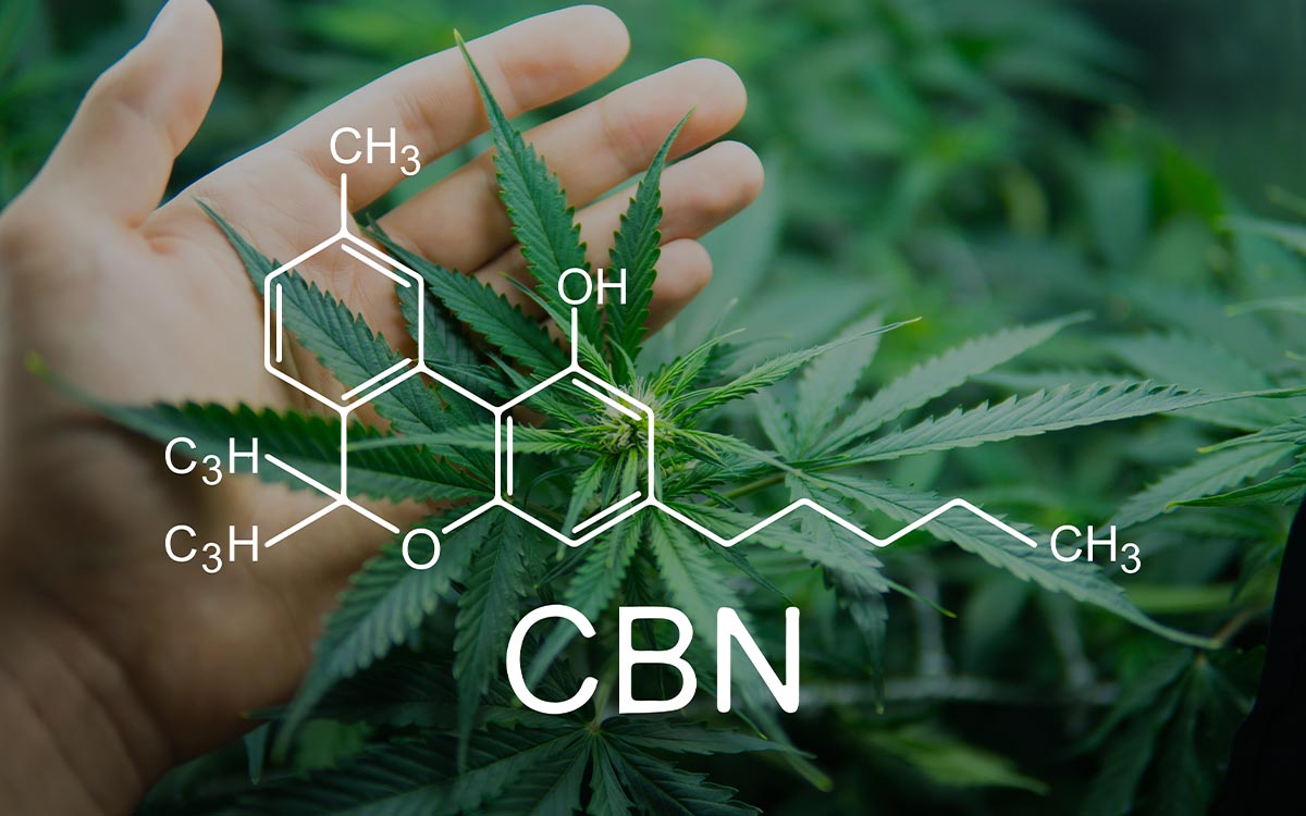 CBN: che cos’è il Cannabinolo e quali sono i suoi effetti